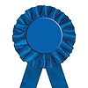 Blue ribbon.jpg