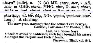 "stare" in the Century Dictionary